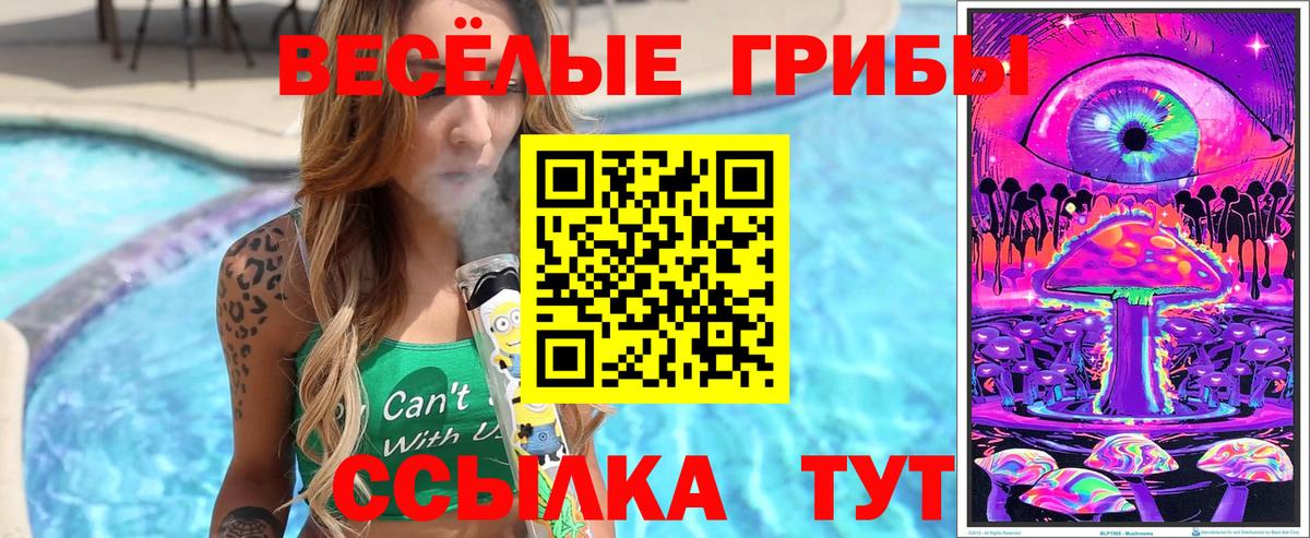 Псилоцибиновые грибы мицелий Губкин
