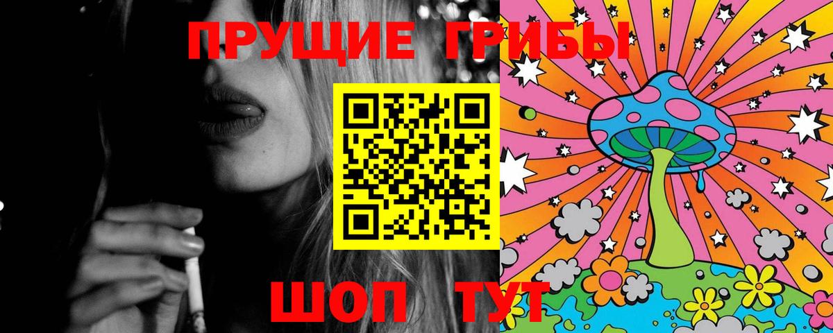 Губкин  Псилоцибиновые грибы Psilocybe  Вход с VPN 